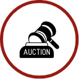 enter-the-auction